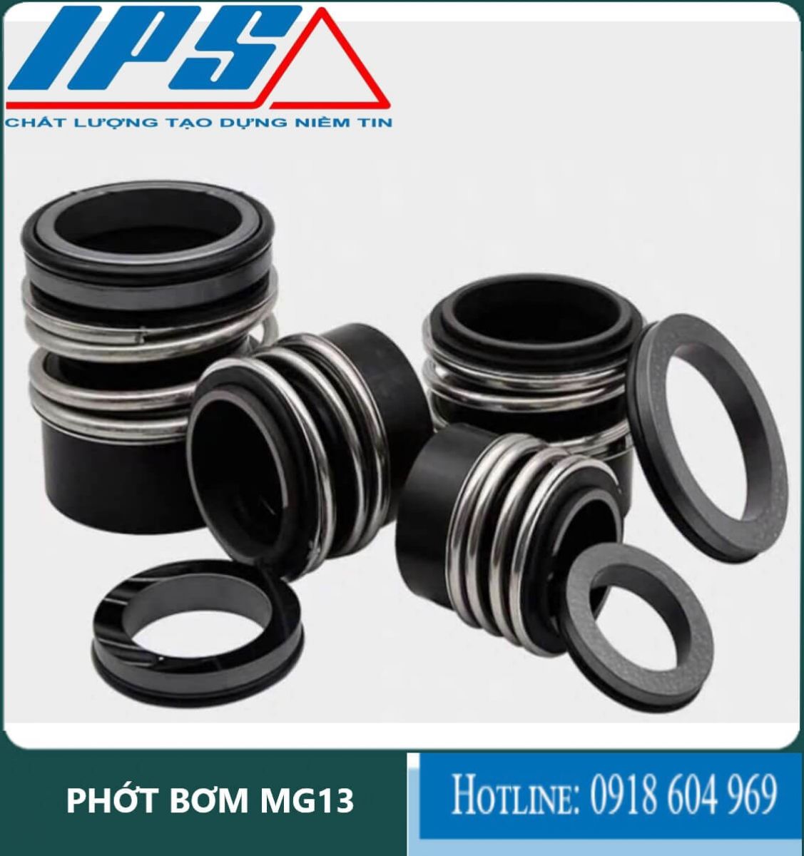 Phớt bơm MG13-14(3).